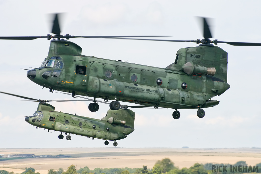 Boeing CH-47D Chinook - D-663 + D-103 - RNLAF