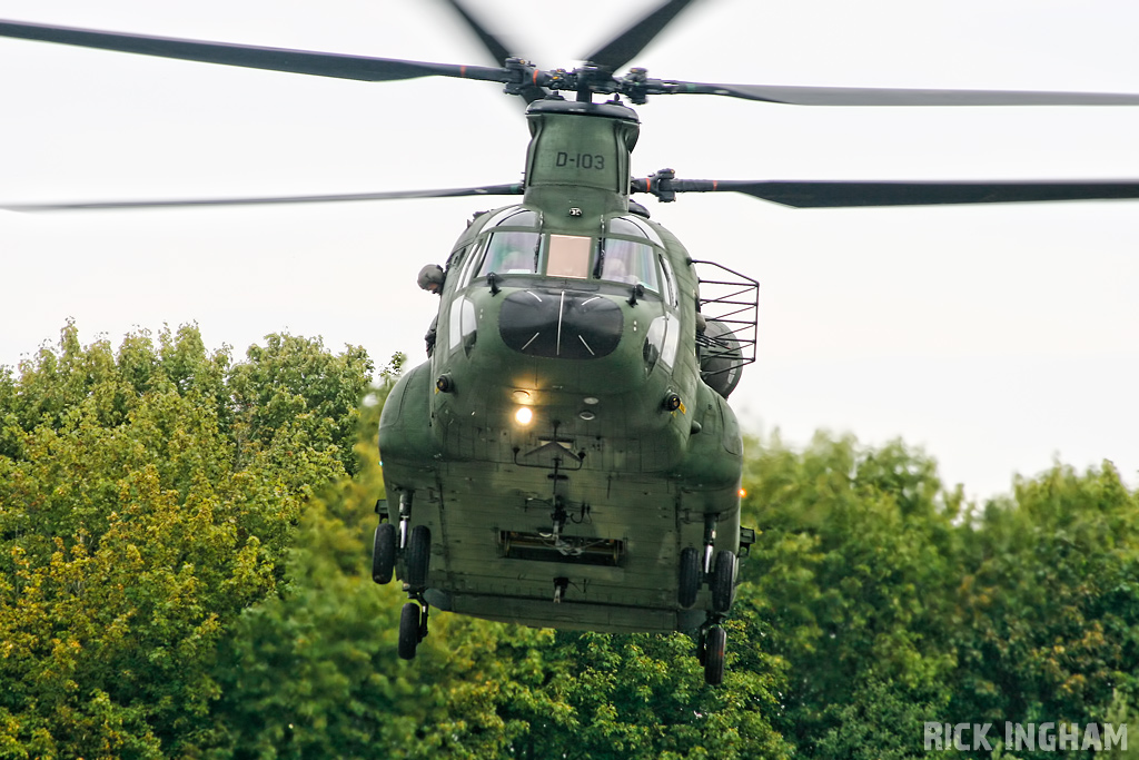 Boeing CH-47D Chinook - D-103 - RNLAF