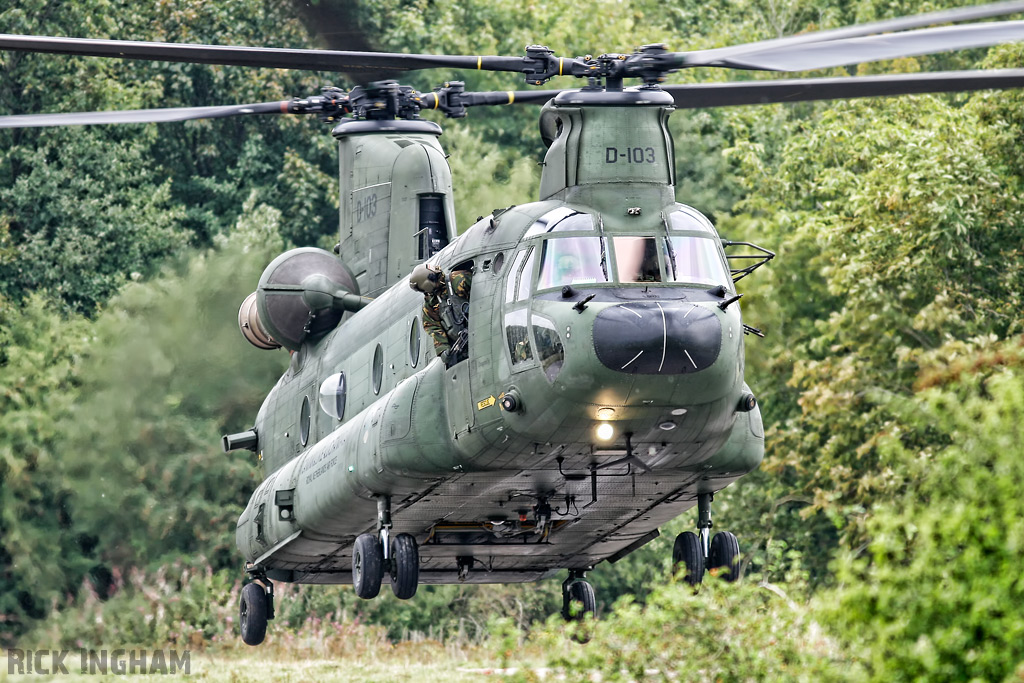 Boeing CH-47D Chinook - D-103 - RNLAF