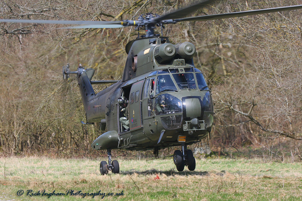 Westland Puma HC1 - ZJ954 - RAF