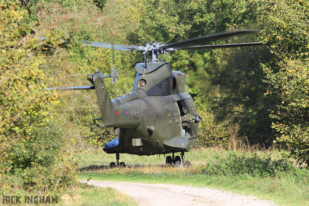 Westland Puma HC1 - ZJ955 - RAF