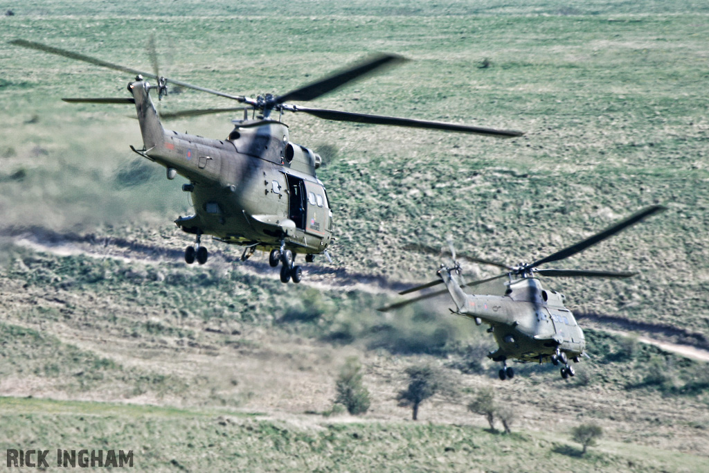 Westland Puma HC1 - XW231 + ZA935 - RAF