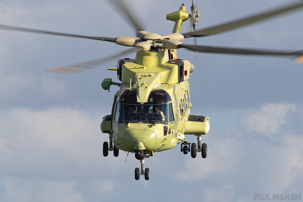 Leonardo CH-149 Cormorant - LH110 - Canadian Air Force
