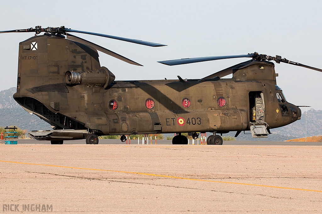 Boeing CH47D Chinook - HT.17-03 / ET-403 - Spanish Army