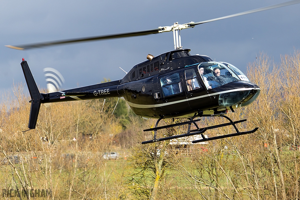 Bell 206B Jet Ranger II - G-TREE