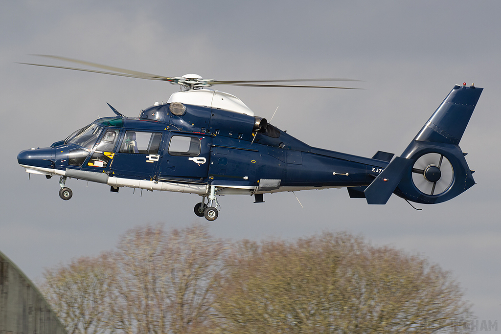 Eurocopter AS365 Dauphin II - ZJ787 - AAC