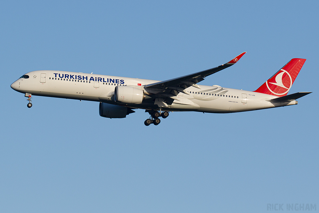 Airbus A350-900 - TC-LGO - Turkish Airlines