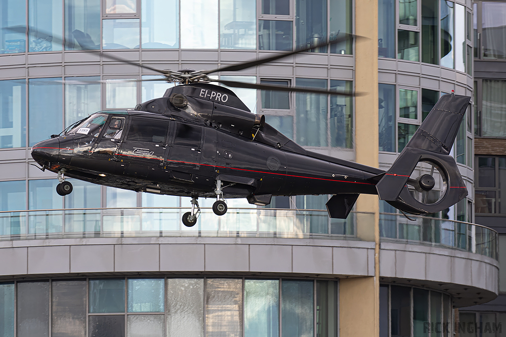 Eurocopter AS365 Dauphin II - EI-PRO