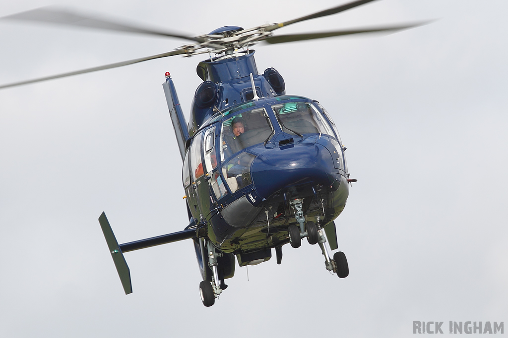 Eurocopter AS365 Dauphin II - ZJ164 - Royal Navy