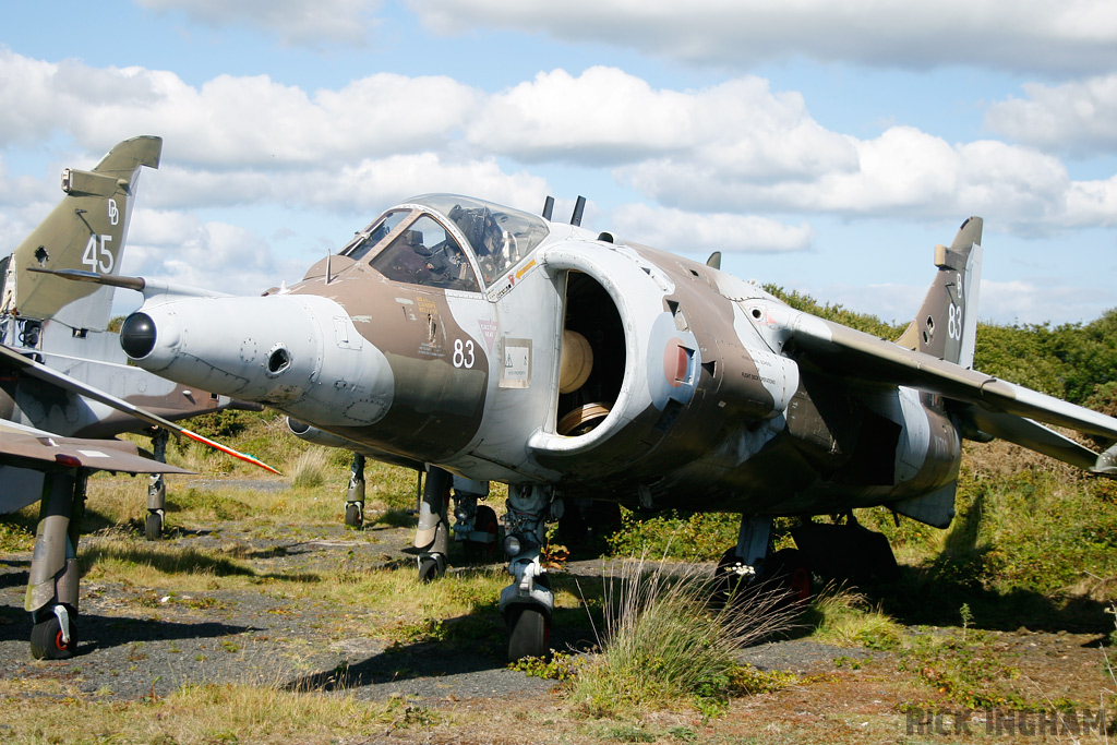 Hawker Siddeley Harrier GR3 - XV783/83 - RAF