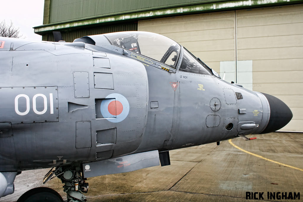 British Aerospace Sea Harrier FA2 - 'ZH801' but really ZH800 - Royal Navy