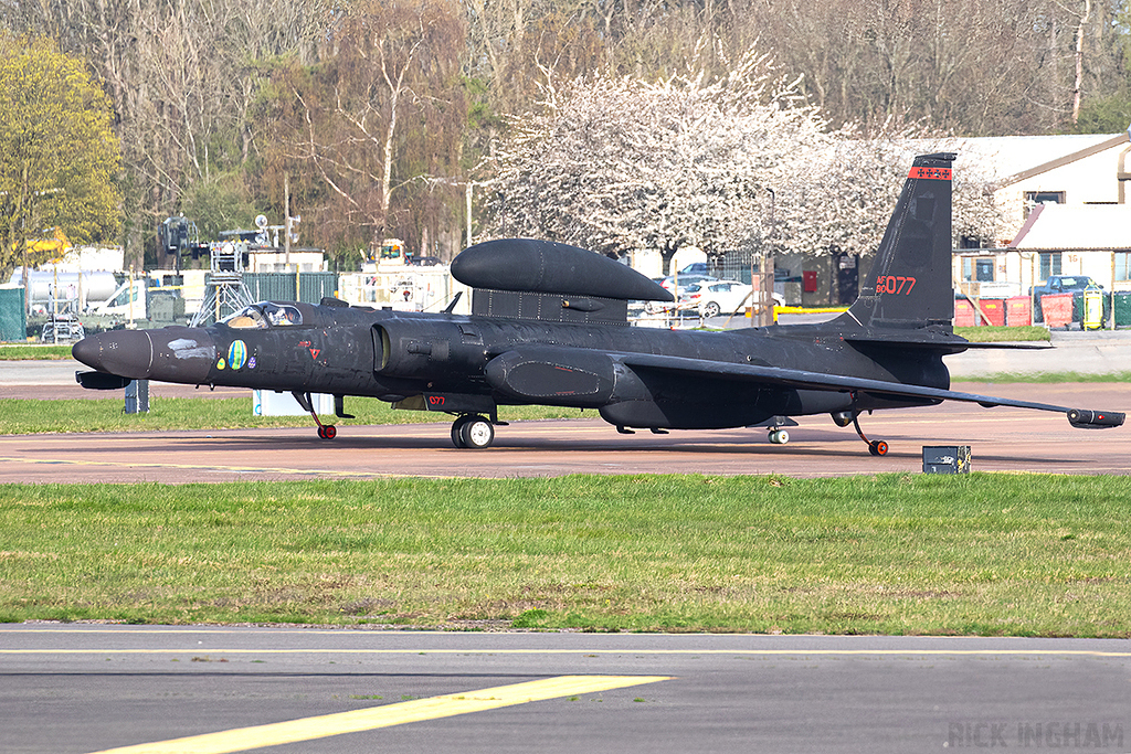 Lockheed U-2S Dragon Lady - 80-1077 - USAF