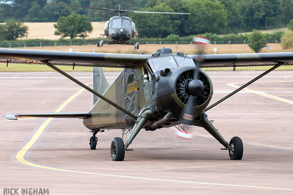 De Havilland Beaver AL1 - XP820 (G-CICP) - AAC