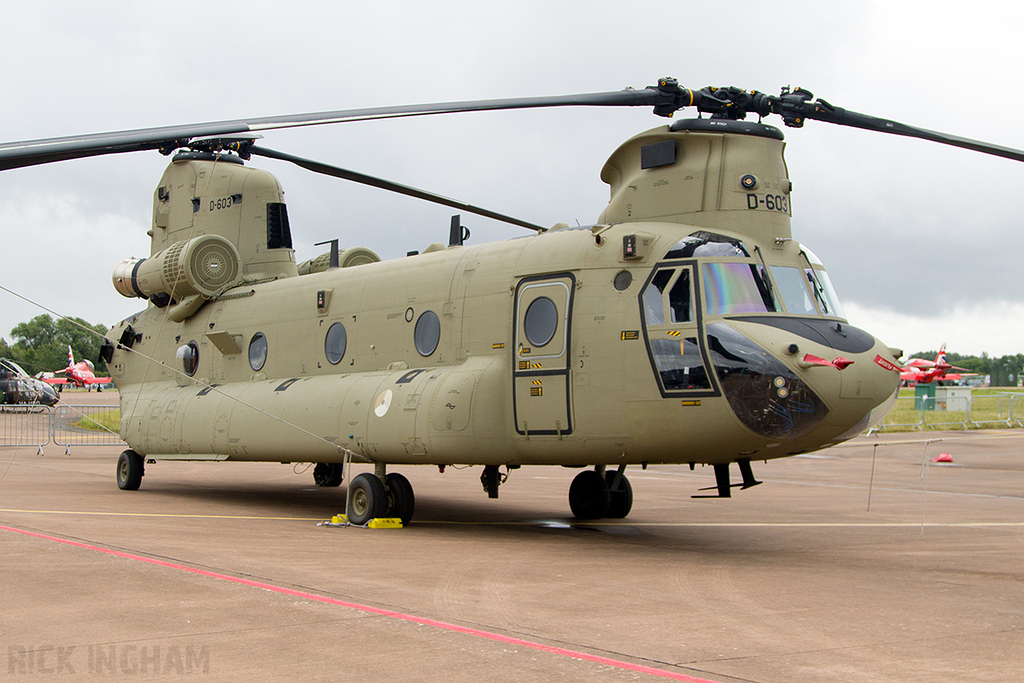 Boeing CH47F Chinook - D-603 - RNLAF