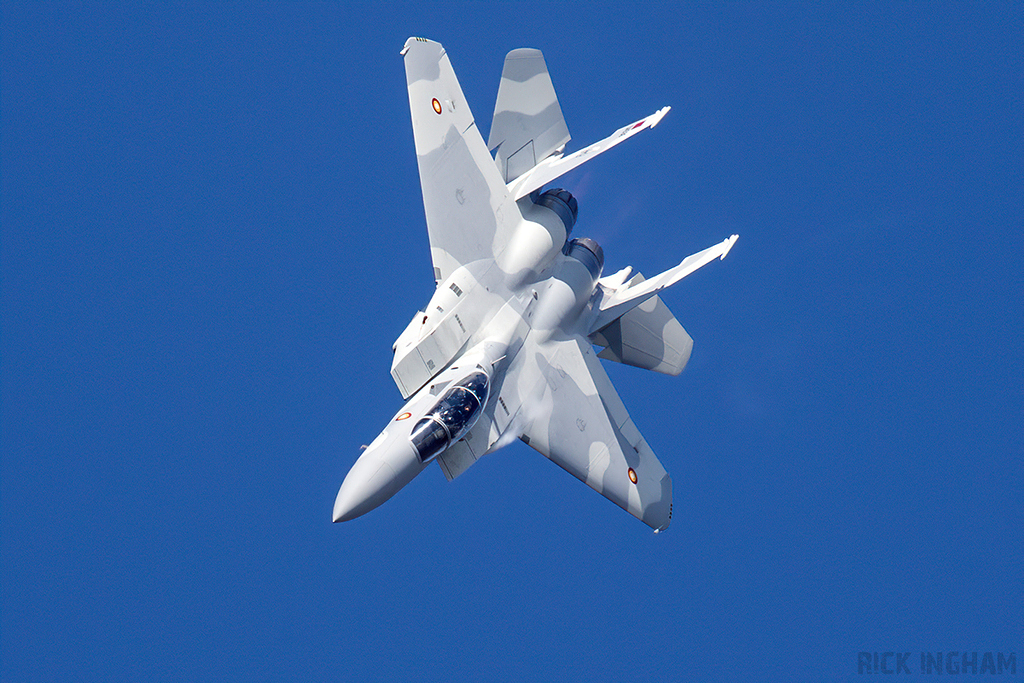 Boeing F-15QA Ababil - QA536 - Qatar Air Force