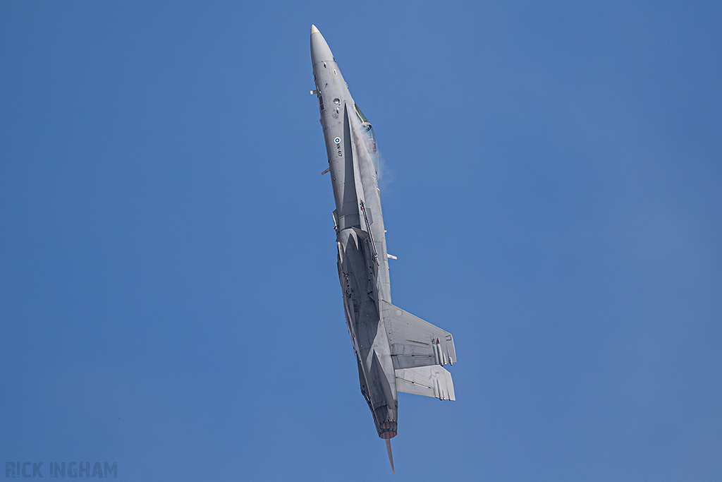 McDonnell Douglas F/A-18C Hornet - HN-417 - Finnish Air Force