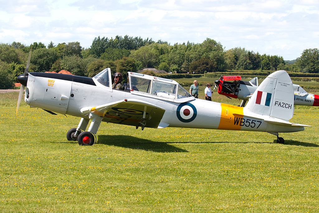 de Havilland Chipmunk T20 - WB557 (F-AZCH) - RAF