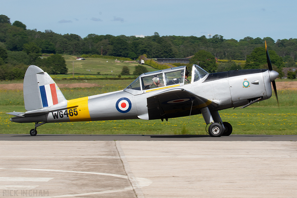 de Havilland Chipmunk T10 - WD465 (G-BCEY) - RAF