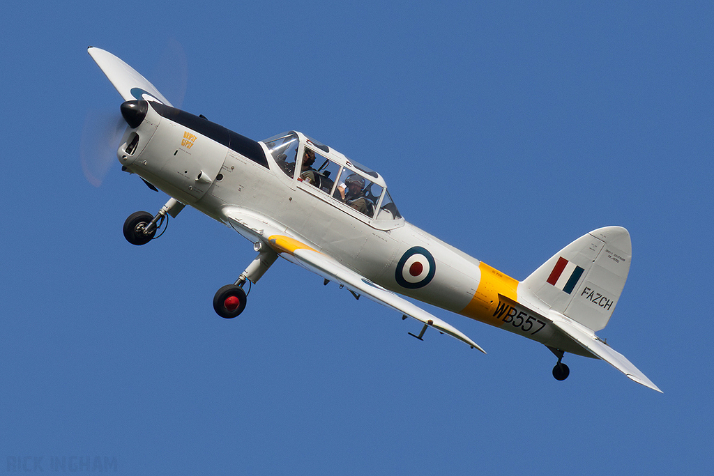 de Havilland Chipmunk T20 - WB557 (F-AZCH) - RAF