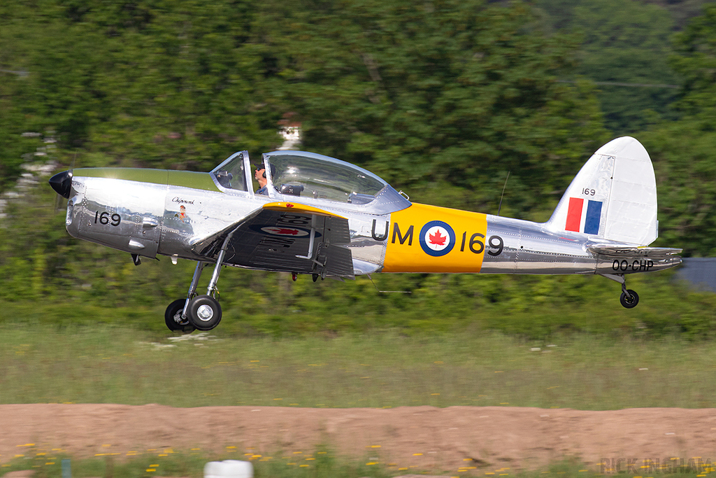 de Havilland Chipmunk T2 - UM-169 (OO-CHP) - Canadian Air Force