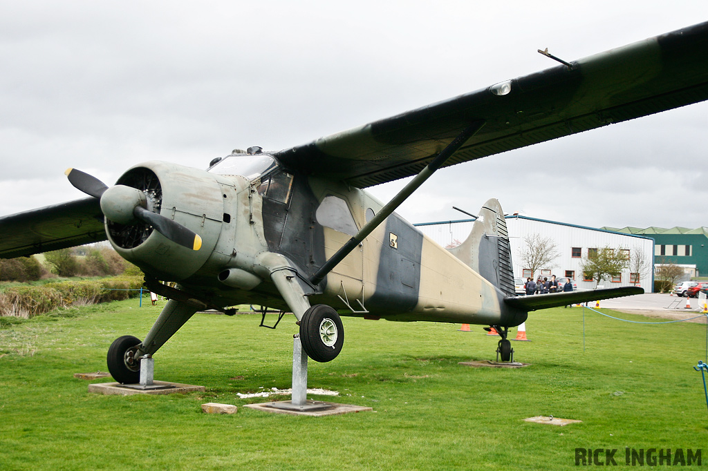 De Havilland Beaver AL1 - XP822 - AAC