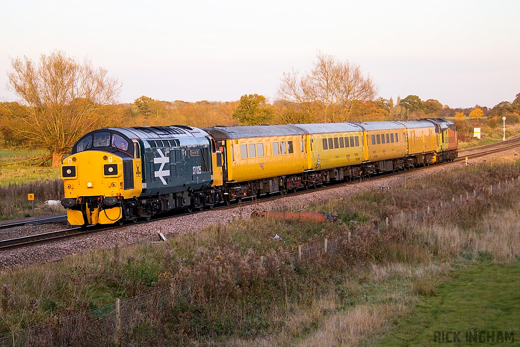 Class 37 - 37025 - Colas Rail
