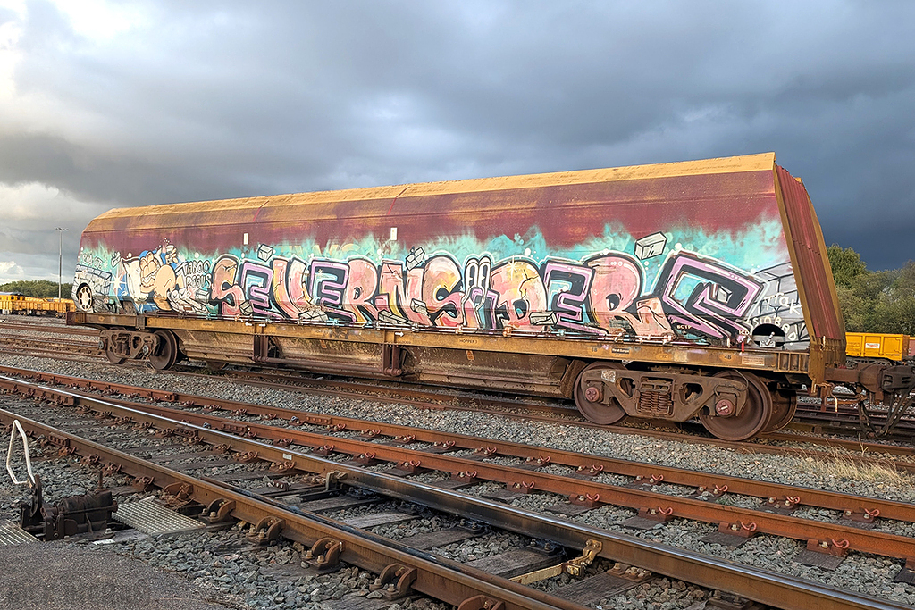 HTA Wagon - EWS