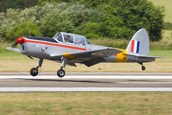 De Havilland Chipmunk T10 - WP800 / G-BCXN - RAF