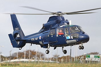 Eurocopter AS365 Dauphin II - ZJ165 - Royal Navy