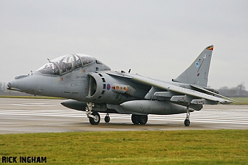 British Aerospace Harrier T12 - ZH665/113 - RAF