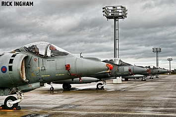 British Aerospace Harrier GR9A - ZD436/48A - RAF