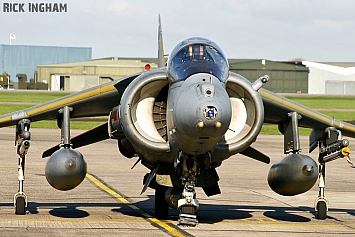 British Aerospace Harrier GR9 - ZD438/50 - RAF