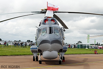 Mil Mi-14PL Haze - 1001 - Polish Navy