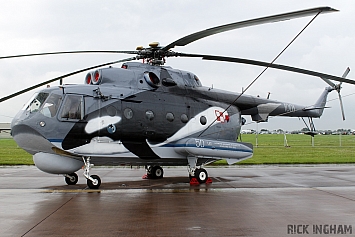 Mil Mi-14PL Haze - 1001 - Polish Navy