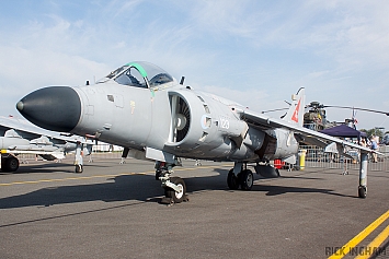 British Aerospace Sea Harrier FA2 - ZH801/123 - Royal Navy