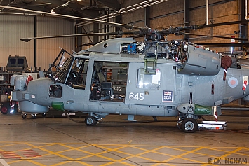 Westland Lynx HMA8 - ZD566/645 - Royal Navy