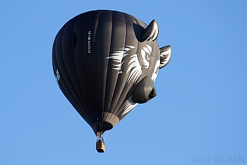 Lindtstrand LTL 1-90 Balloon - G-WESS 'Wes the Wolf'
