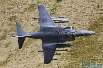 British Aerospace Harrier GR9 - ZG507/78 - RAF
