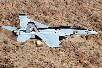Boeing F/A-18E Super Hornet - 166950 - US Navy