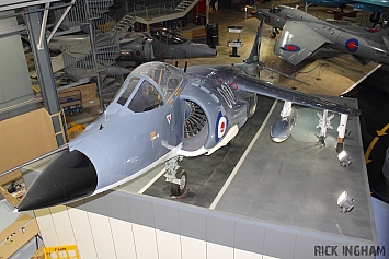 British Aerospace Sea Harrier FRS1 - XZ493/001 - Royal Navy