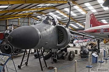 British Aerospace Sea Harrier FA2 - ZA176 - Royal Navy
