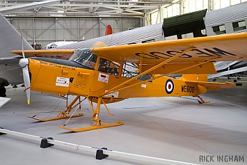 Auster T7 Antarctic - WE600 - RAF