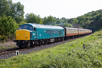 Class 45 - 45041