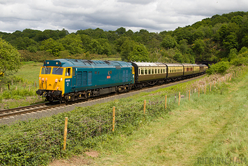Class 50 - 50035
