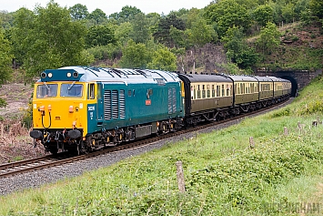 Class 50 - 50035