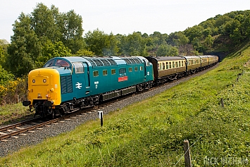 Class 55 - 55019