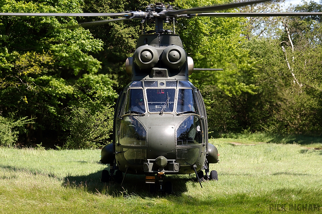 Eurocopter Puma HC2 - XW214 - RAF