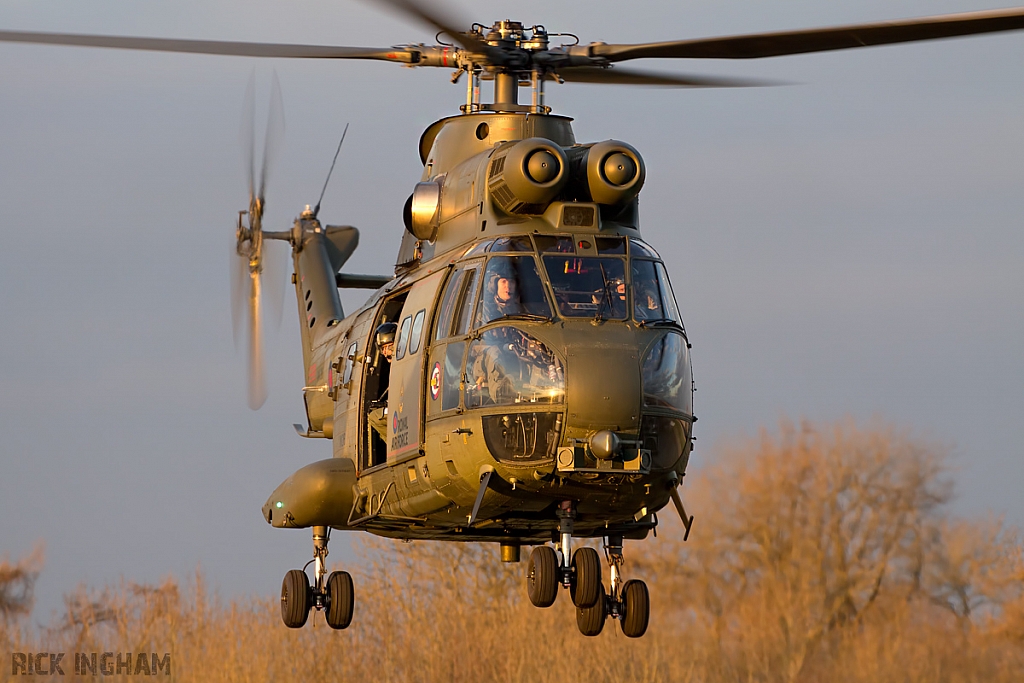 Eurocopter Puma HC2 - XW216 - QinetiQ