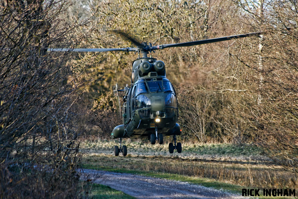 Westland Puma HC1 - XW224 - RAF