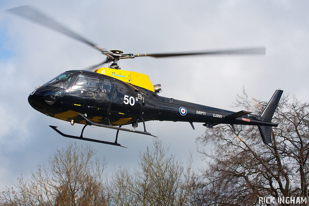 Eurocopter Squirrel HT2 - ZJ250 - AAC